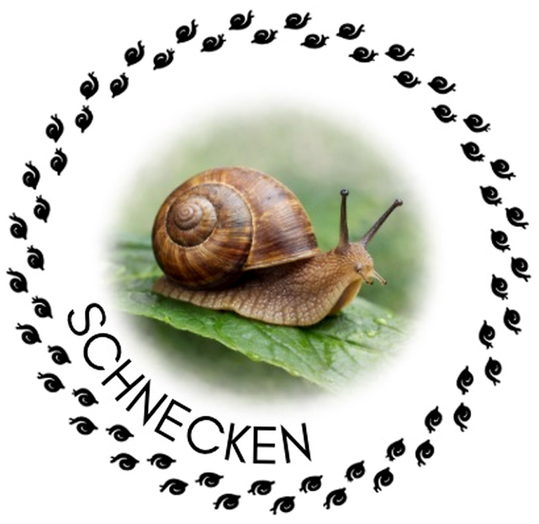 Logo Schnecken